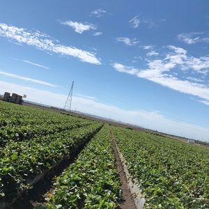 Meet your Posher, Efrain